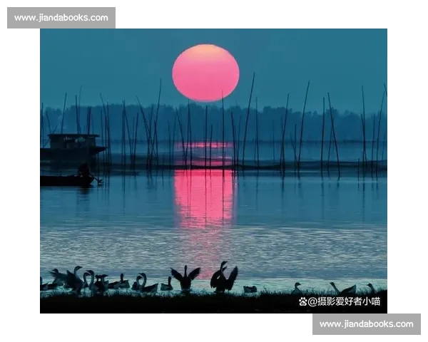提升摄影技巧的关键秘诀如何在比赛中脱颖而出并获得高分 提升摄影技巧的关键秘诀如何在比赛中脱颖而出并获得高分